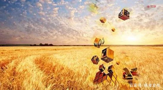 杨凌马拉松和扬州马拉松,杨凌马拉松杨凌大道吗