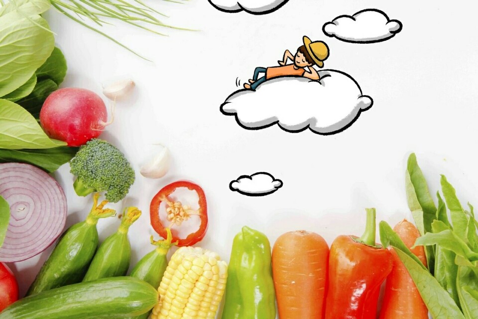 描写蔬菜形状和颜色的句子一年级,小学生描写蔬菜