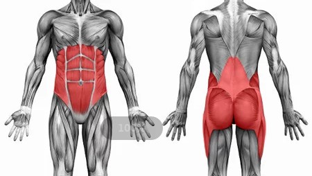 平躺山羊挺身练背正确做法,长期站立导致腰肌劳损怎么办