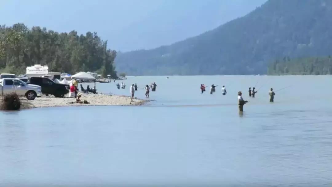 温哥华，超出你期待的钓鱼圣地