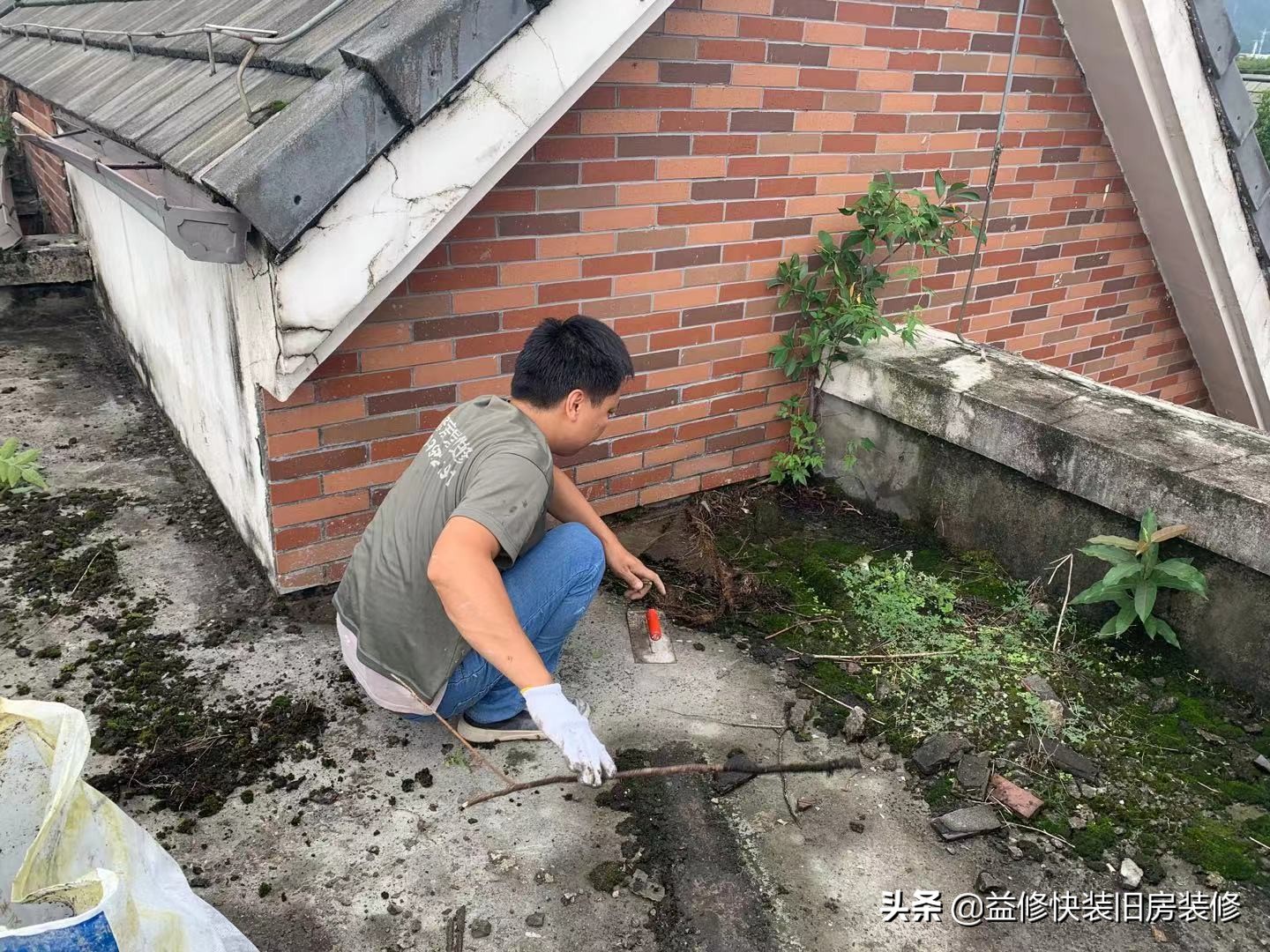 老楼的房顶漏雨,一到下雨天苦不堪言,求支招