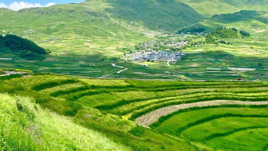 陇南市云上金马池,卧云铺清凉避暑好去处