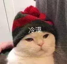 公猫可以有多个乳房吗,公猫也长乳房吗