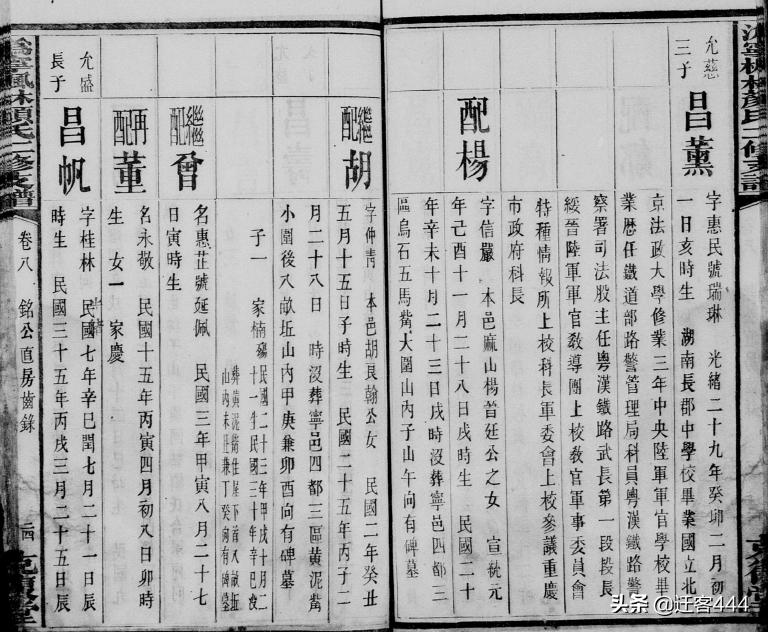 湖南宁乡颜氏,宁乡红叶石楠树