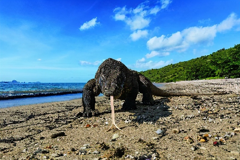 印尼巴厘岛特色东西,印尼巴丹岛有什么特色