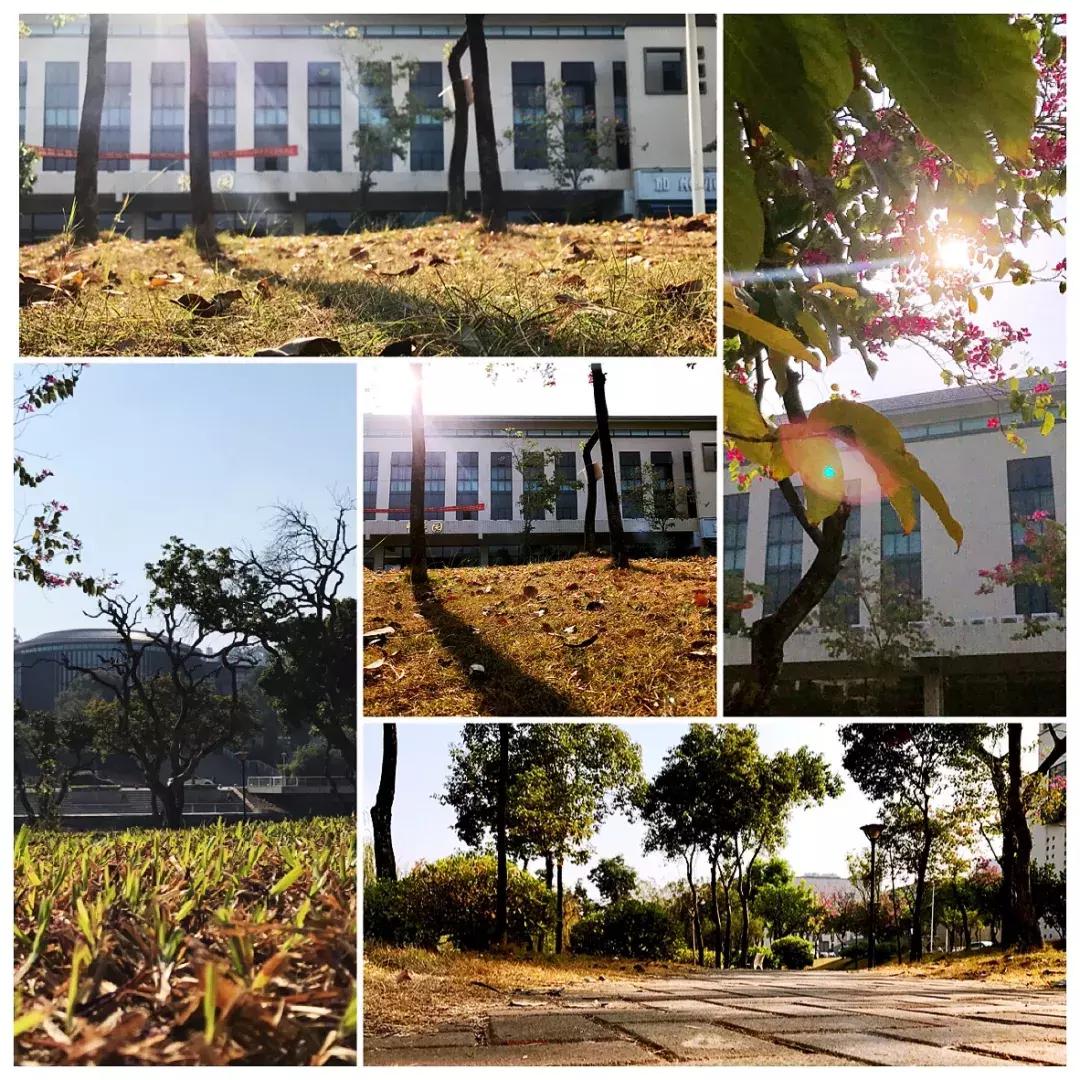 东莞理工学院城市学院新生群,东莞理工学院城市学院英语系