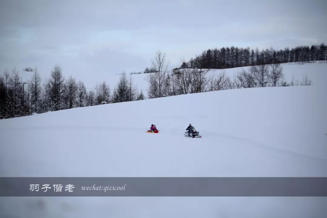 老实说，这一趟北海道就是为了拍好看的照片去的