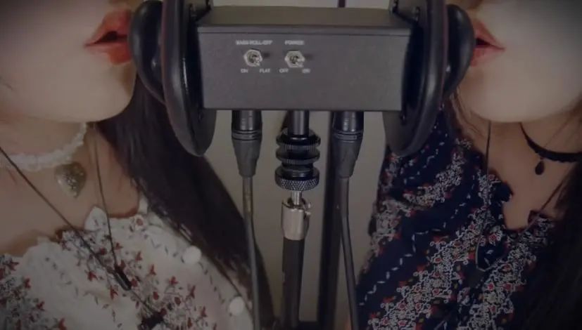 优质声线的PK,各大企业都上线播客平台,下一波走红将是中文播客