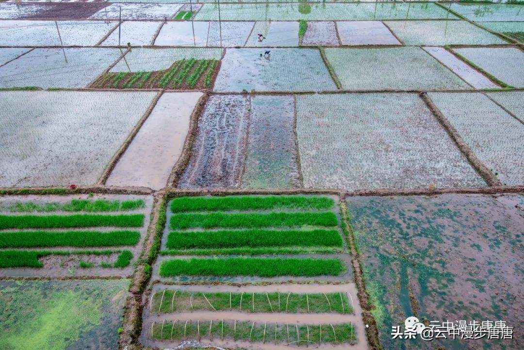 岳池坪滩风景区,行走的风景岳池