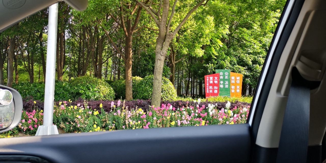 上海奉贤新城的亮点,奉贤南桥镇奉贤新城现状