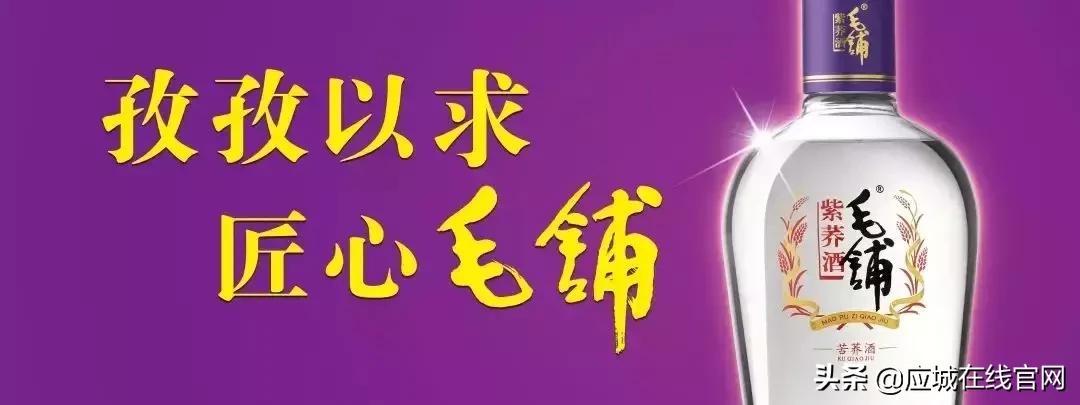 毛铺酒苦荞酒价格表,毛铺送礼合适吗