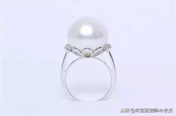 澳白南洋珍珠是什么,澳洲白珍珠为什么那么便宜