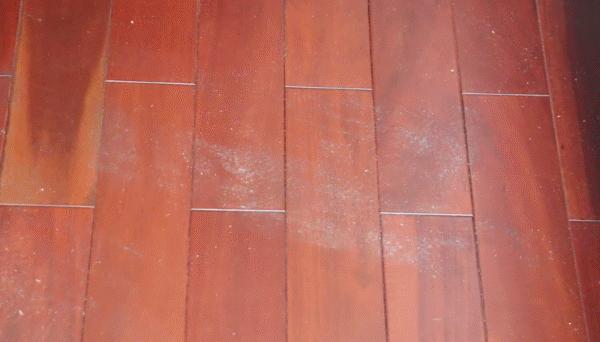 飞乐思蒸汽拖把好不好,飞乐思旗舰店蒸汽拖把