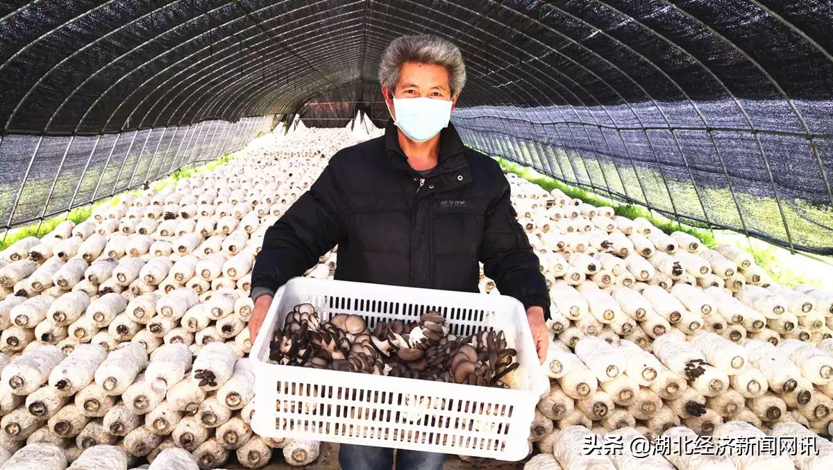 我是党员我在岗疫情防控一线,我是党员在战疫情的第一线