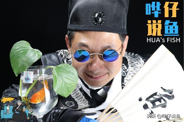 光合细菌跟反硝化细菌能同时用吗,鱼缸光合细菌和硝化细菌哪个好