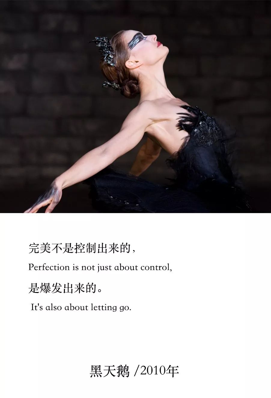 美丽的黑天鹅和白天鹅,美丽的黑天鹅完整版