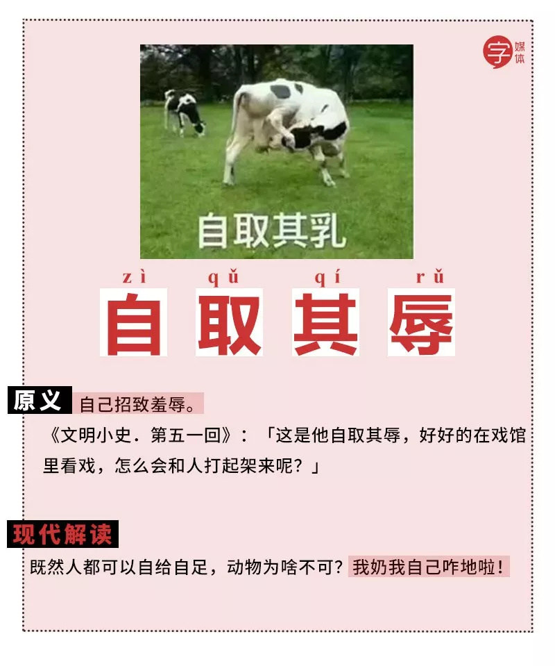 成语表情包,成语表情包动态图片