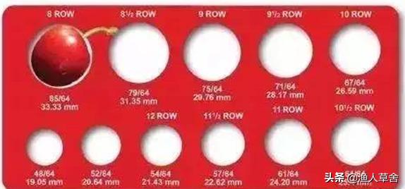 各国cherry车厘子品种，与我国大樱桃有哪些不同