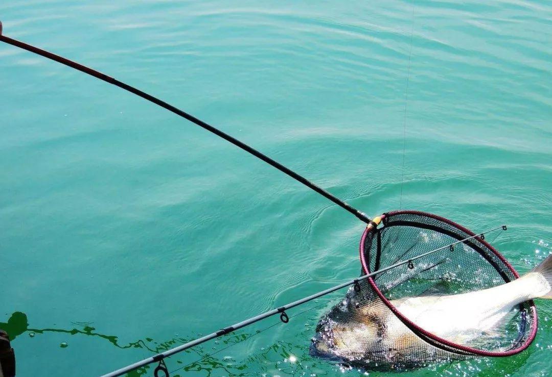 软饵铅头钩可以钓鲢鱼么,飞钩钓鲢鳙怎么样