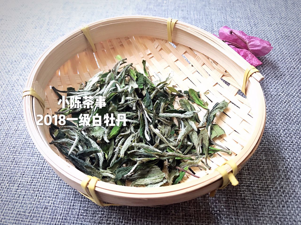 白茶的常识大全,老白茶的常识