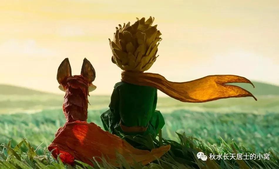 感悟生活朗读视频,感悟生活文学