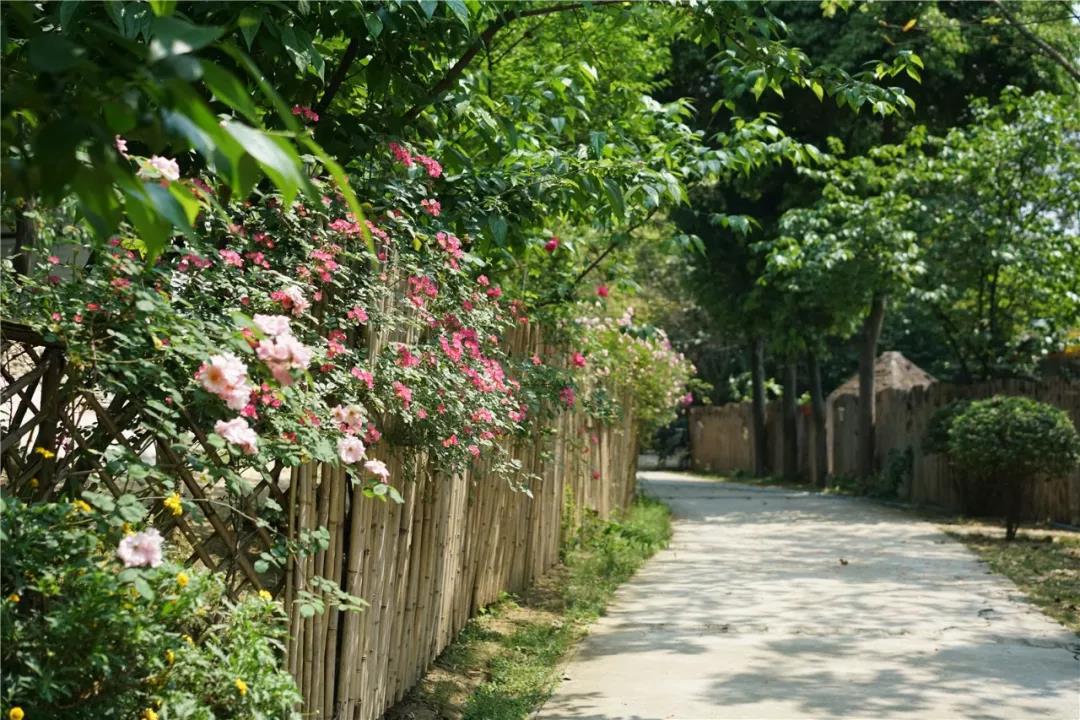 第一次走进幼儿园,幼儿园星空的探秘之旅