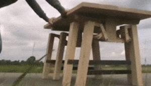 搜集一个笑死人的笑话,关于笑死人的笑话故事