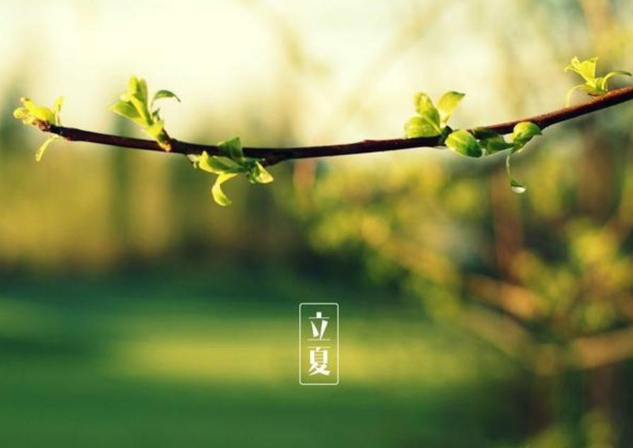 「原创诗词」三人行|出墙红杏无言桃李宜醉宜醒