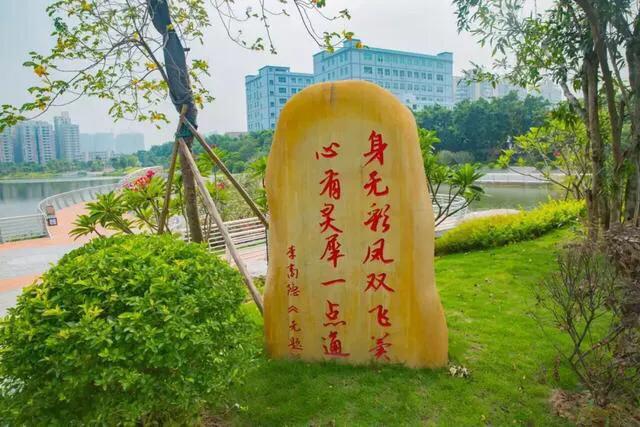 深圳免费公园哪里最好啊,深圳十大免费公园景点大全