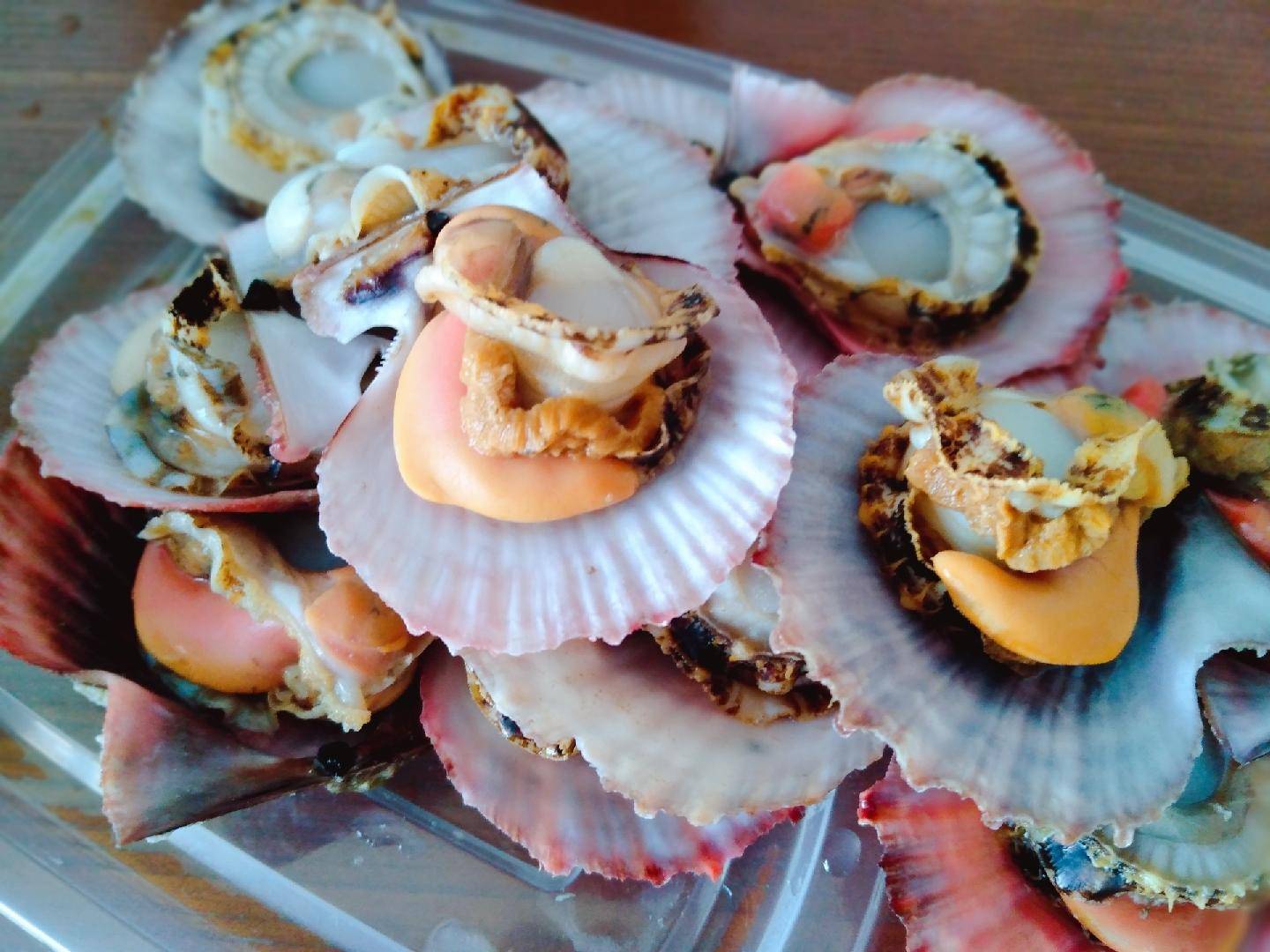 10元的鲍鱼能买吗,10元一斤的鲍鱼