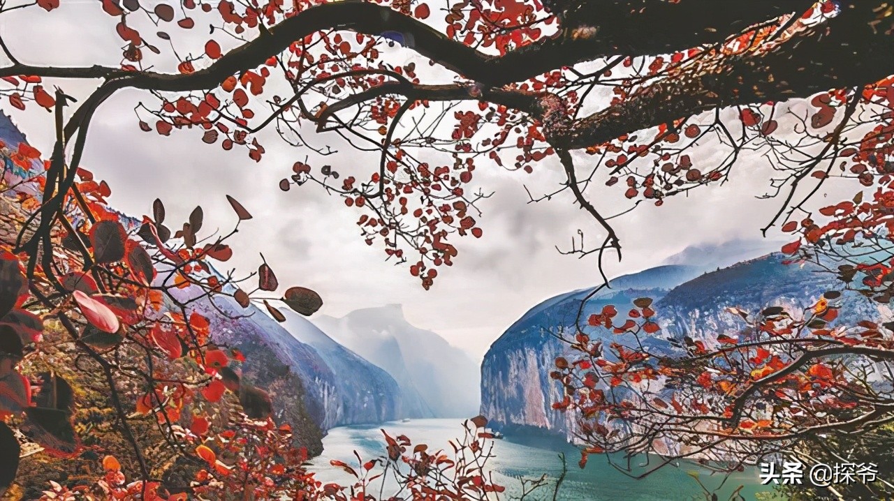 打卡白帝城,打卡重庆白帝城