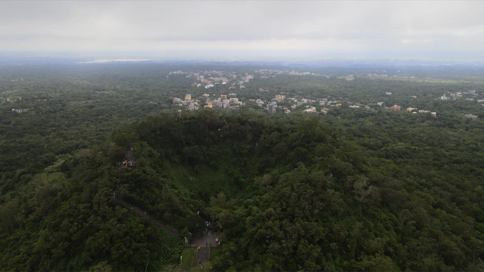 逐梦自贸海动椰城,逐梦海口嗨动椰城
