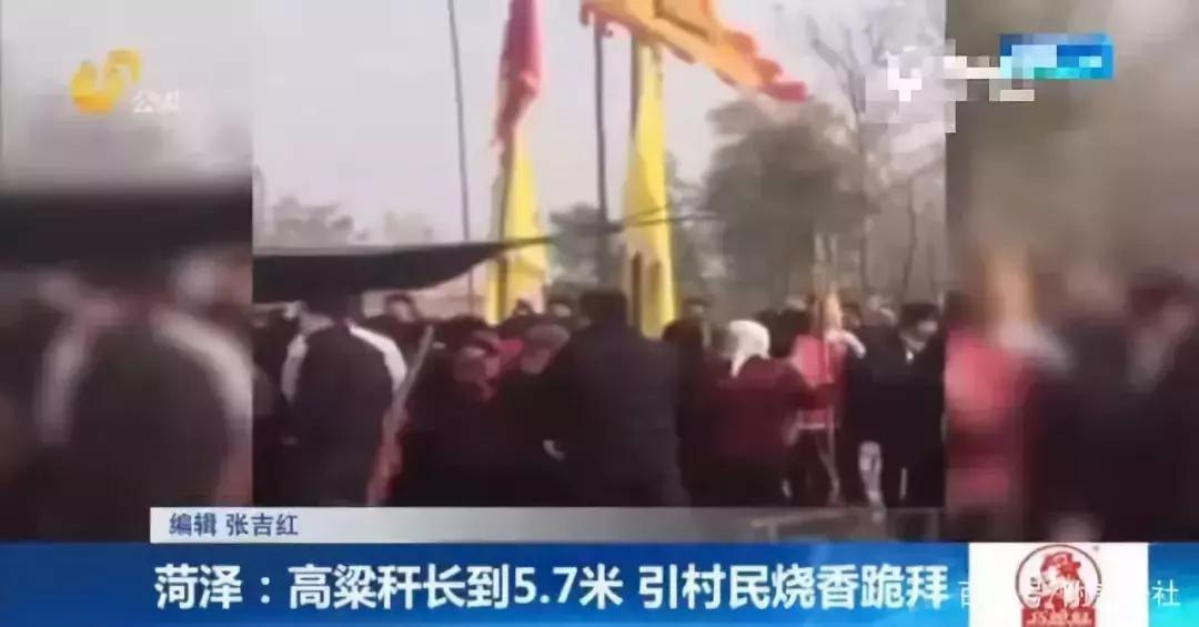 奇葩！5.7米的高粱引村民烧香祭拜，各国军营里迷信有哪些？