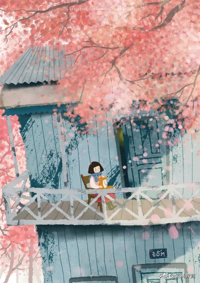 自主招生一般考什么,自主招生一般都考啥