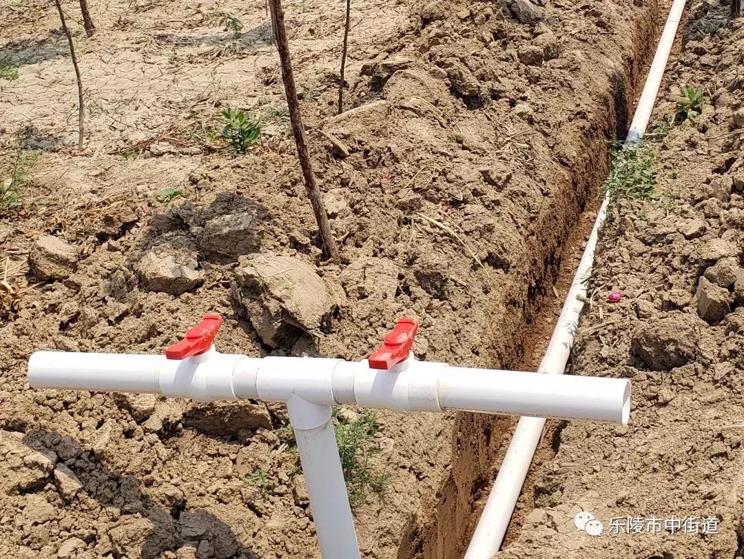 重点工作周报,街道工作周报