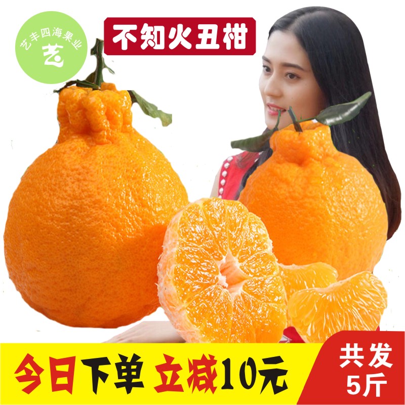 新鲜特价丑橘四川耙耙柑,四川丑橘新鲜耙耙柑