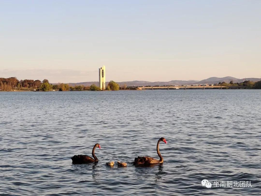 堪培拉经历,堪培拉的历史
