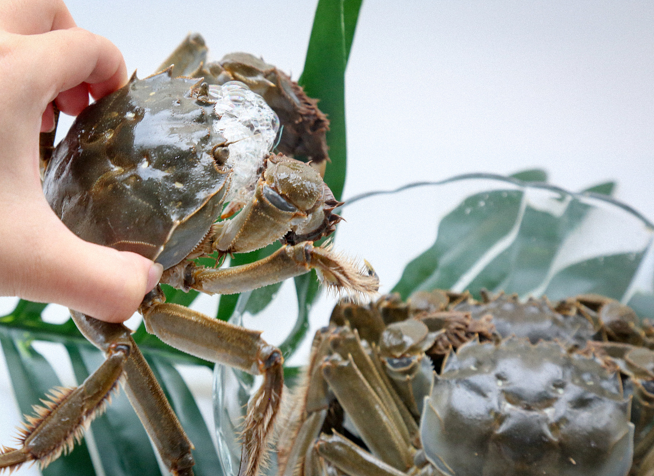 清蒸大闸蟹味道鲜美做法简单极了,大闸蟹怎么做熟保存时间长