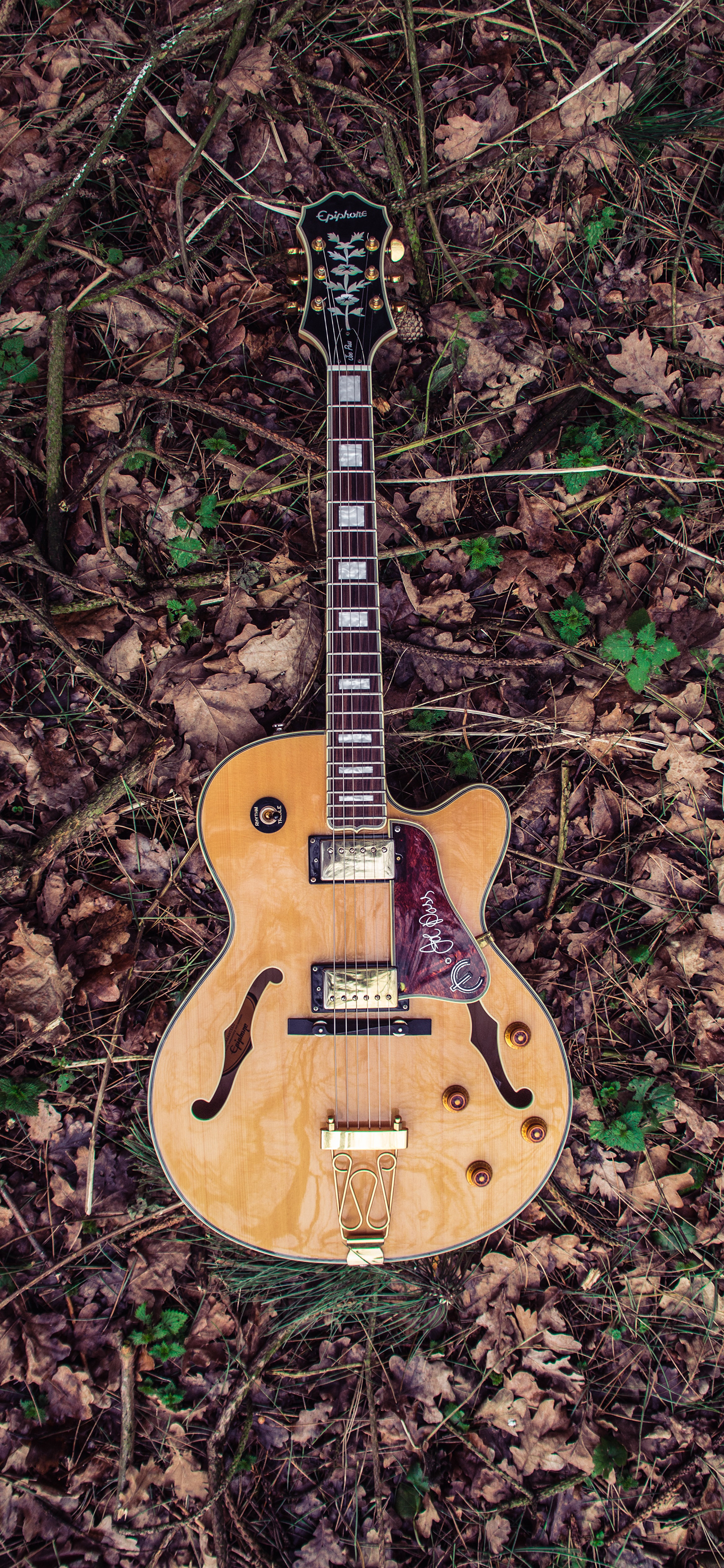 壁纸来了小说,壁纸来了梵高