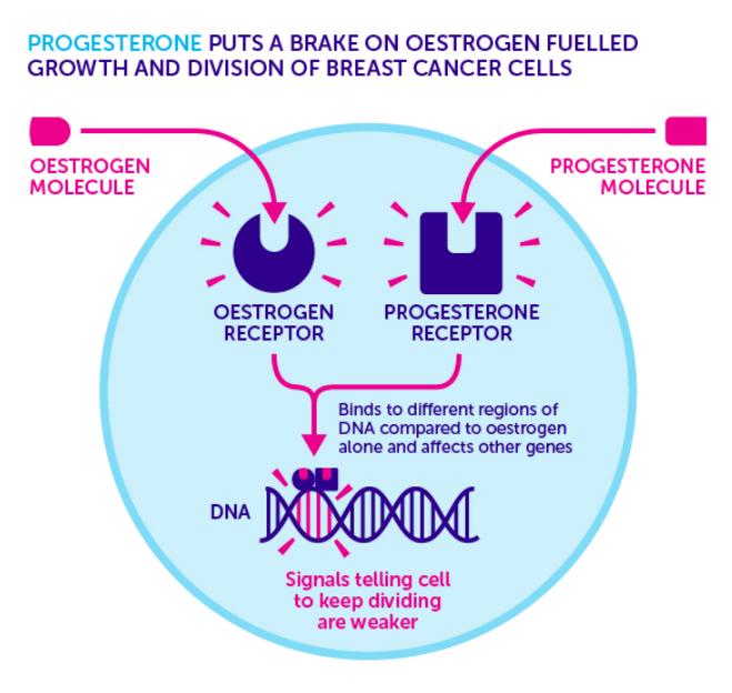 乳腺癌15种锻炼方法,断食或能阻挡乳腺癌发展