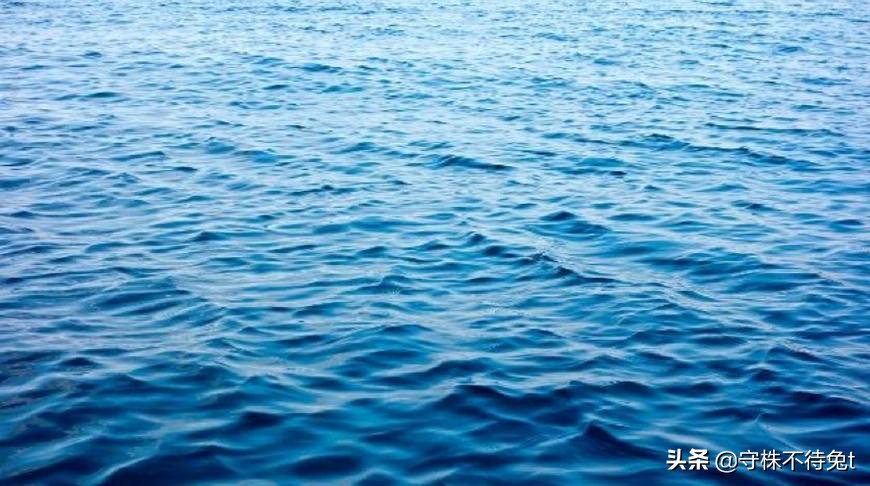 10个冷知识看了涨知识,十个冷知识除鞋臭