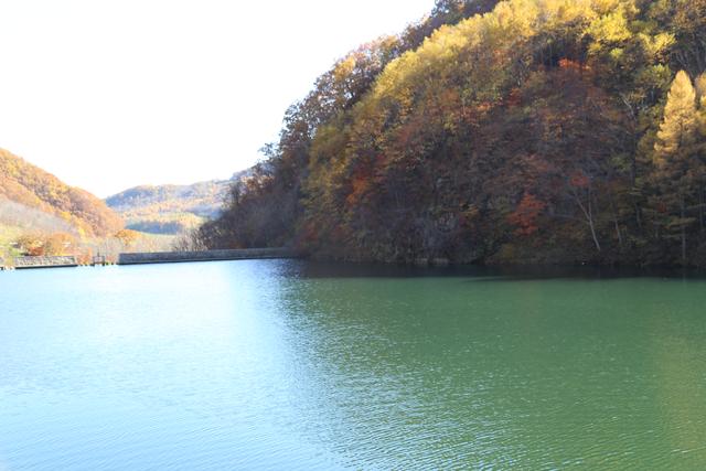 旅游要报旅游团吗,穷人抱团还是富人抱团