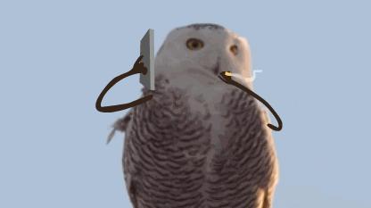 编辑部大公开|女生的一张脸平均要花掉两百万？