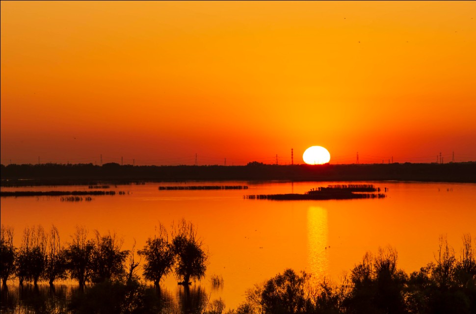 衡水湖有多美丽,七月衡水湖