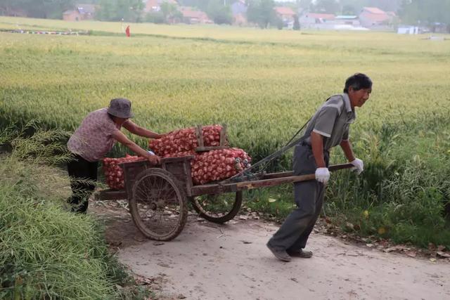 如何缓解对父母的抗拒心理,如何释放内心里对父母的怨恨