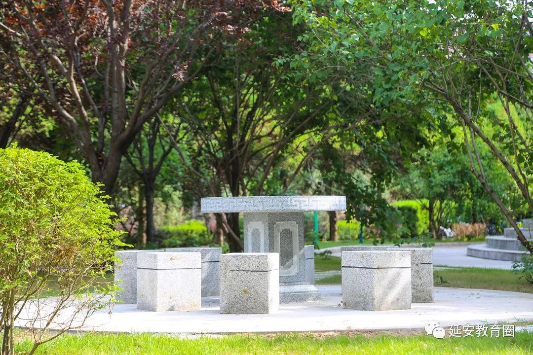 2023年延安区级教学能手公示,延安市2020年市级教学能手名单