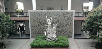 成都华大卫校在成都排名,成都卫校哪个是公办的