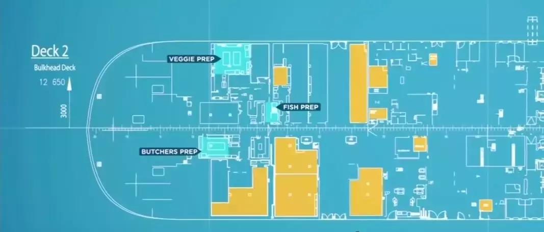 全球最大的邮轮厨房视频,世界最大的邮轮厨师