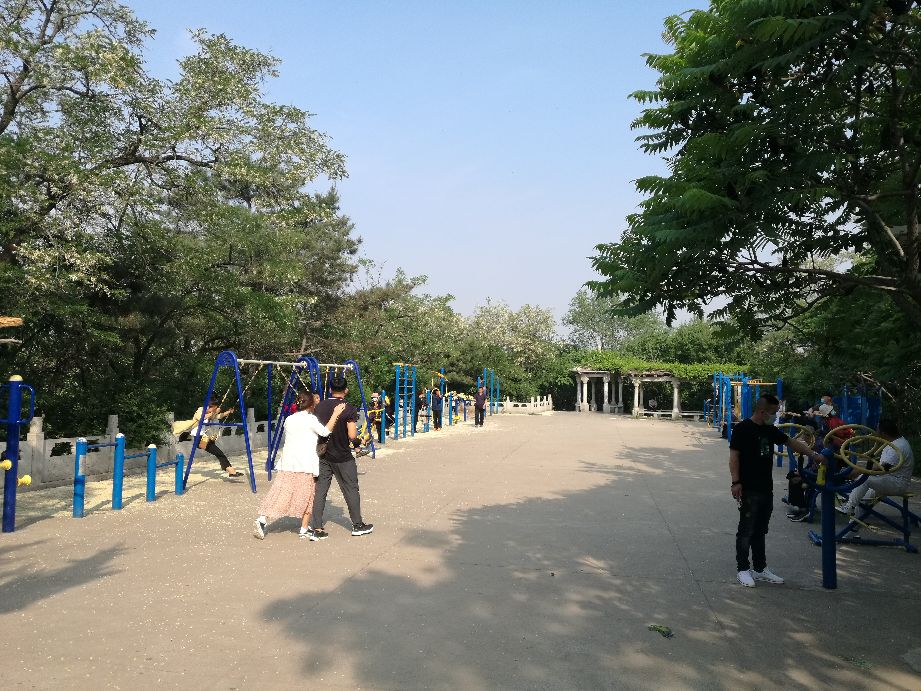 漫山花如雪,风吹暗香来