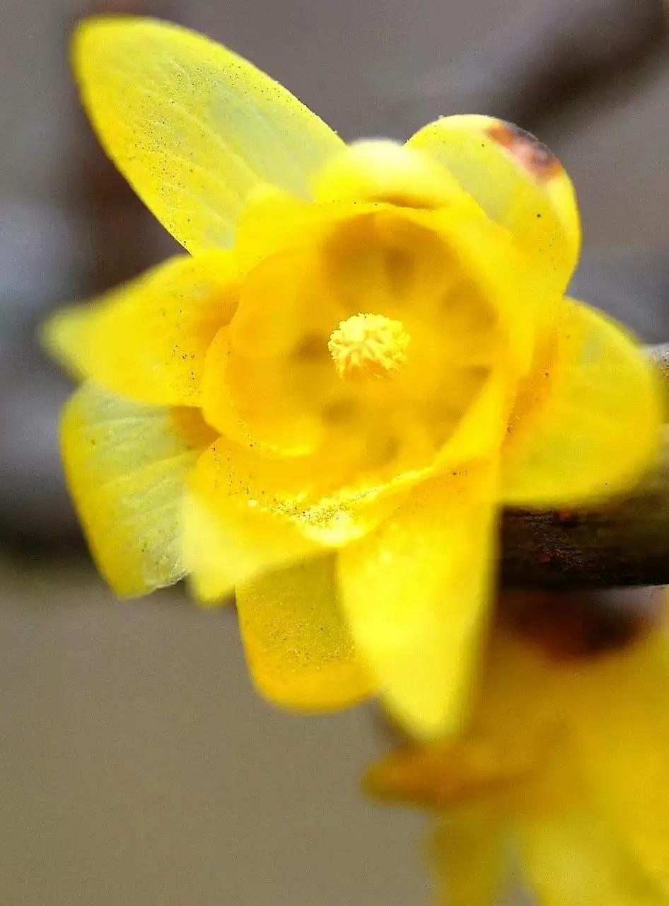 天地之中话中用一一为政在人